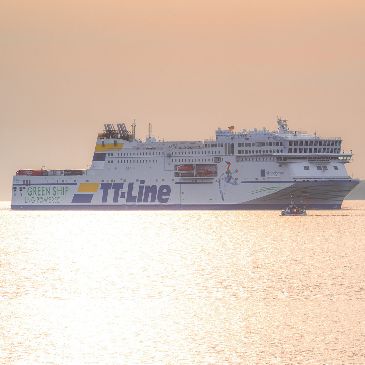 Unsere neuen Green Ships